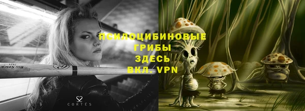 прущий лед Армянск