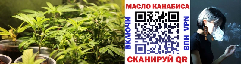 Купить  Новодвинск  ТГК THC oil 
