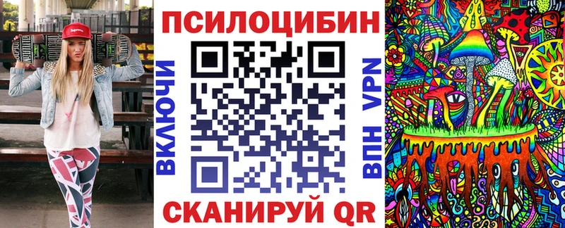 Галлюциногенные грибы Psilocybe  Купить закладки  Новодвинск 